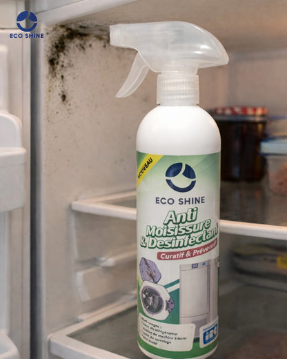 ANTI-MOISISSURE FRIGO & JOINTS 500ML