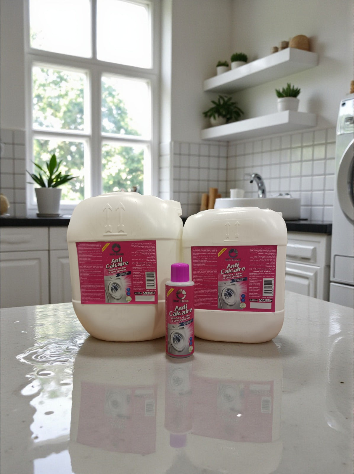 Anti-Calcaire Machine à Laver Ecoshine